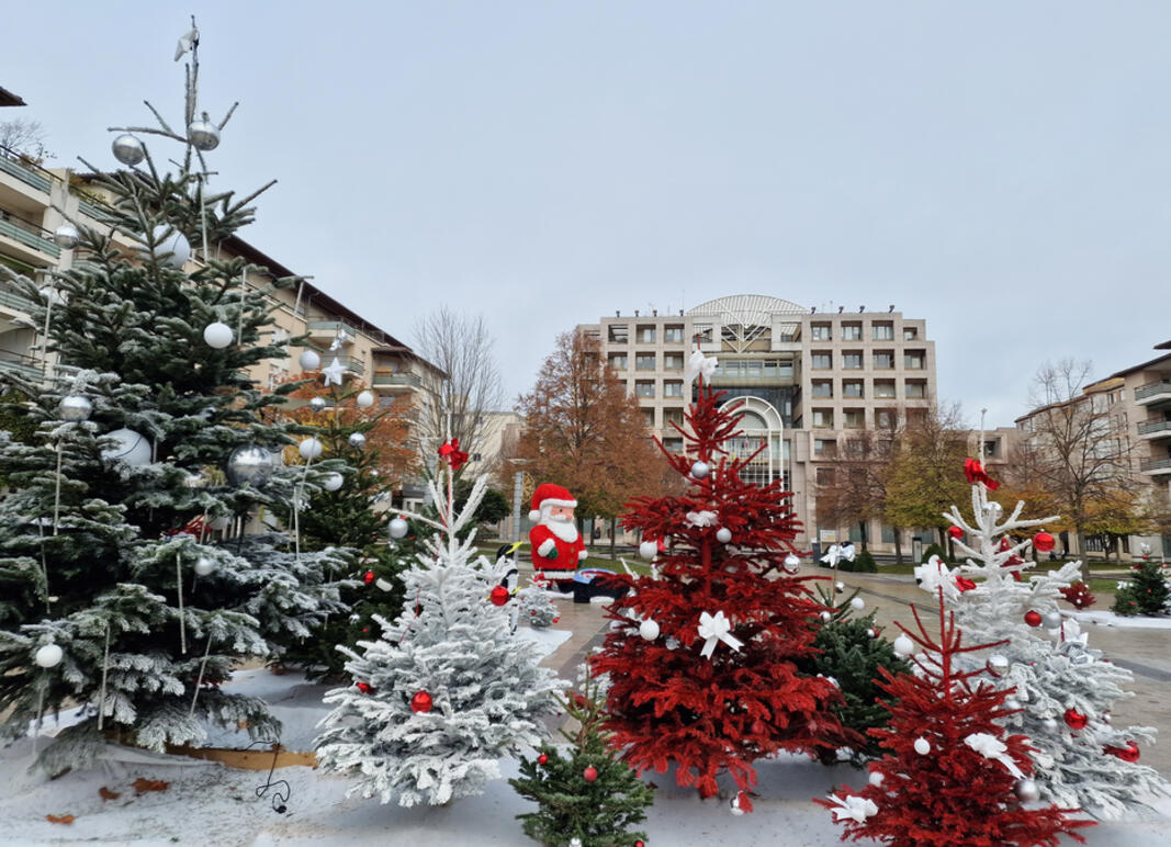 1er décembre 2023 : top départ pour les illuminations et décorations de Noël à Colomiers