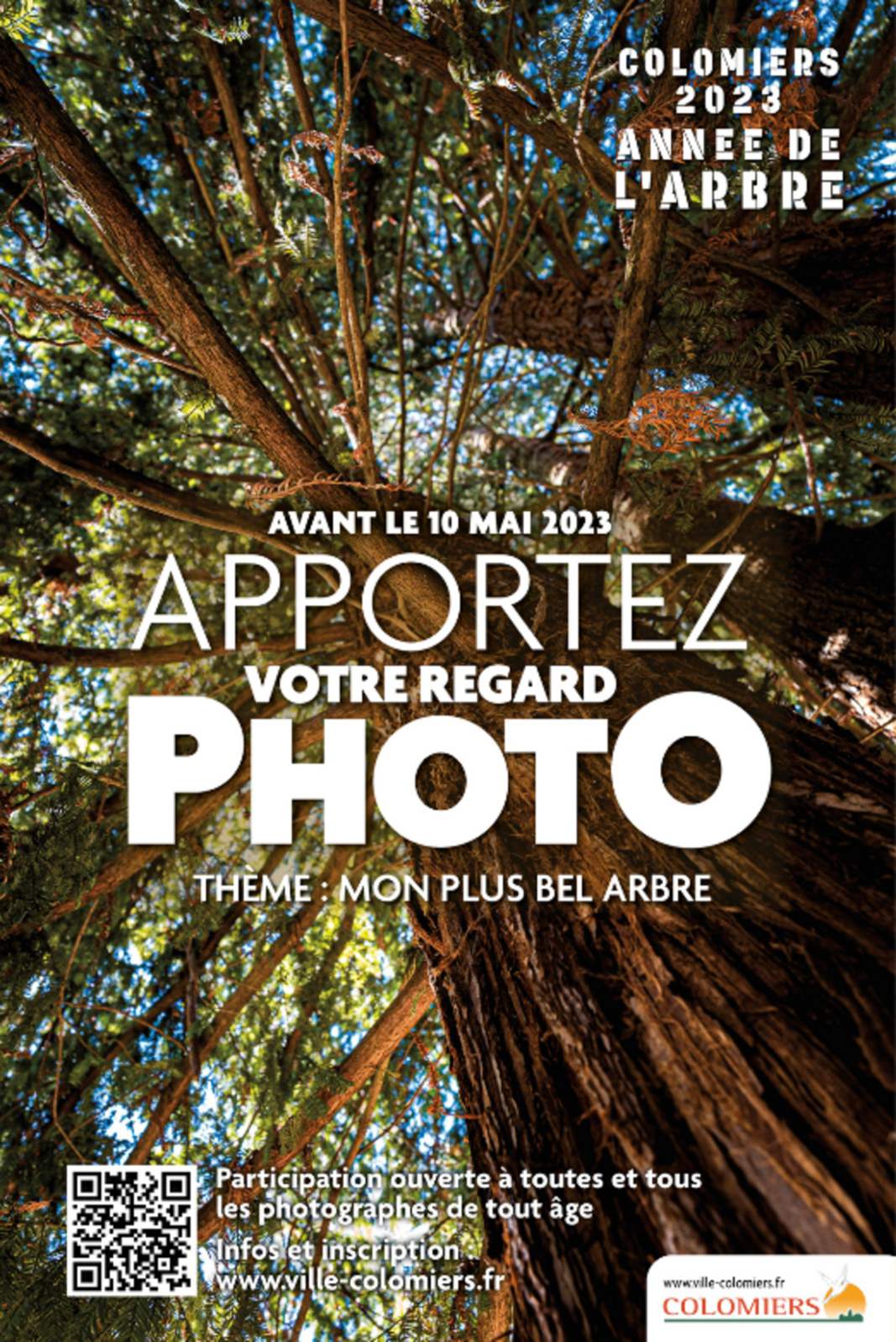 "Mon plus bel arbre" - La Ville de Colomiers lance une invitation à photographier !